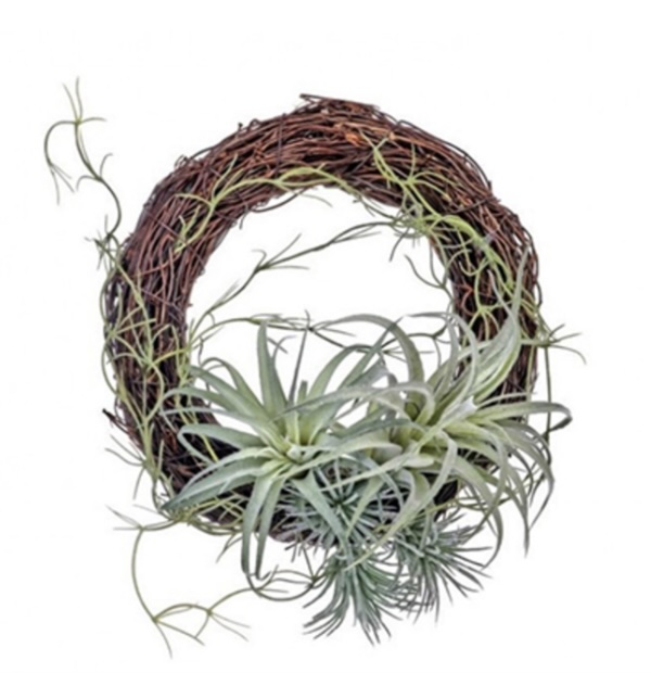 Twig Succulent with Ferns Wreath 9"