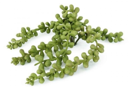 PICK, 2"W X 7"H STRING OF PEARLS