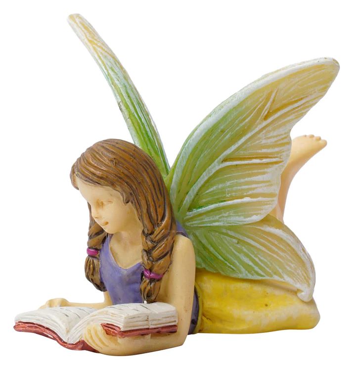 FAIRY, READING