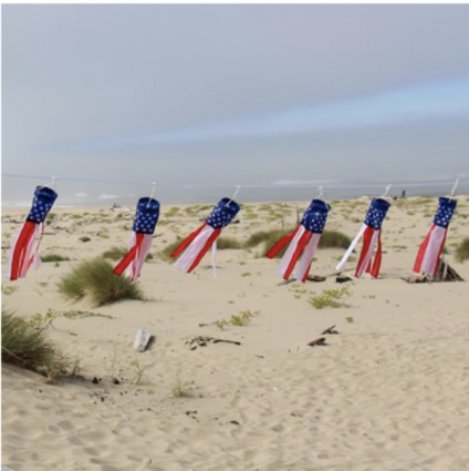 WINDSOCK STRING 84",PATRIOTIC X8