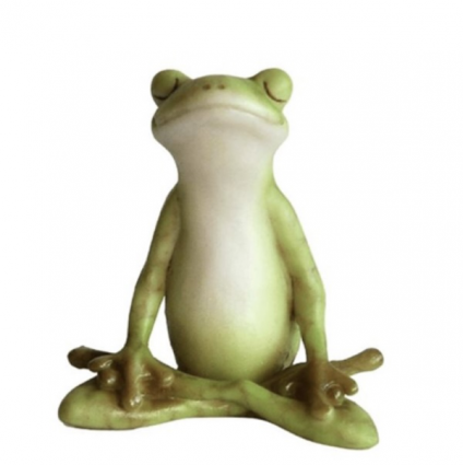 Yoga Frog in Lotus Pose