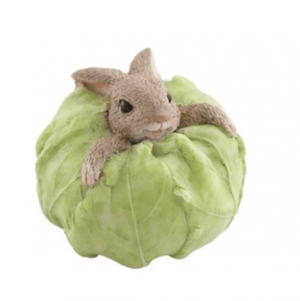 Rabbit Stuck in Cabbage