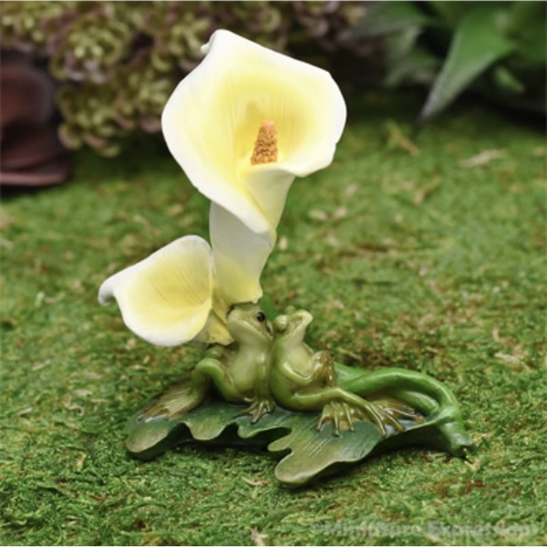 Frog Sitting Under A Cala Lily