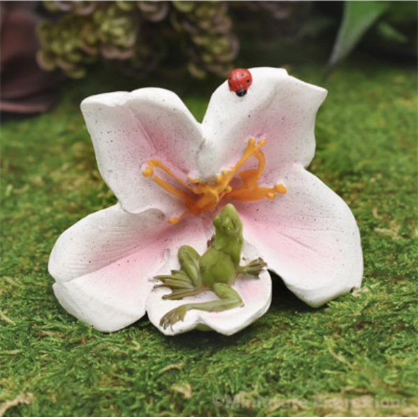 Frog Sitting on a Cala Lily