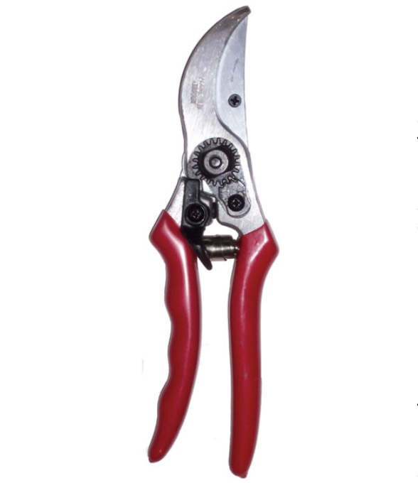 Quality Hand Held Pruner with Replacement Blade