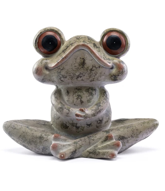 Big Eye Crossed Leg Frog