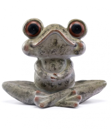 Big Eye Crossed Leg Frog