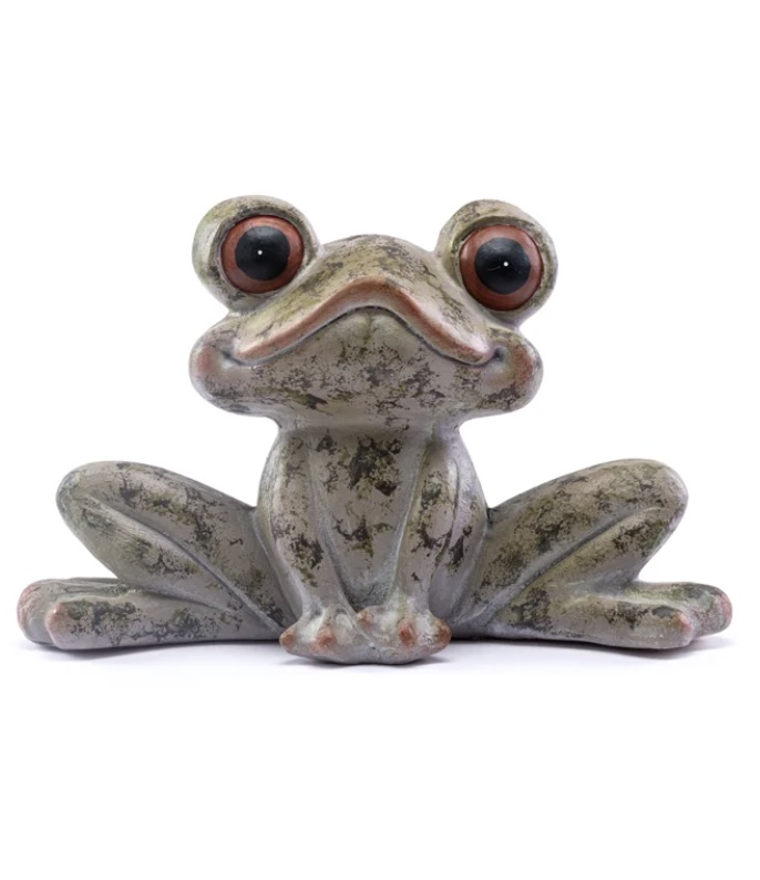 Big Eye Sitting Frog