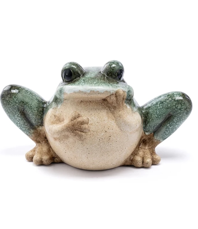 Sitting Frog Holding Face