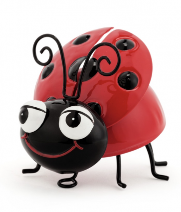 Red Ladybug