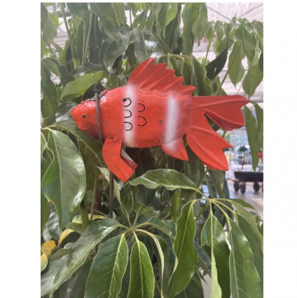 Red & White Fish on a Metal Stake