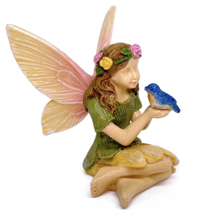 Fairy Holding Bluebird