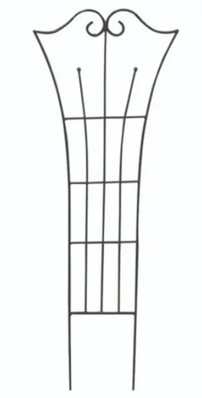 Graphite Fiddlehead Trellis 13" x 36"