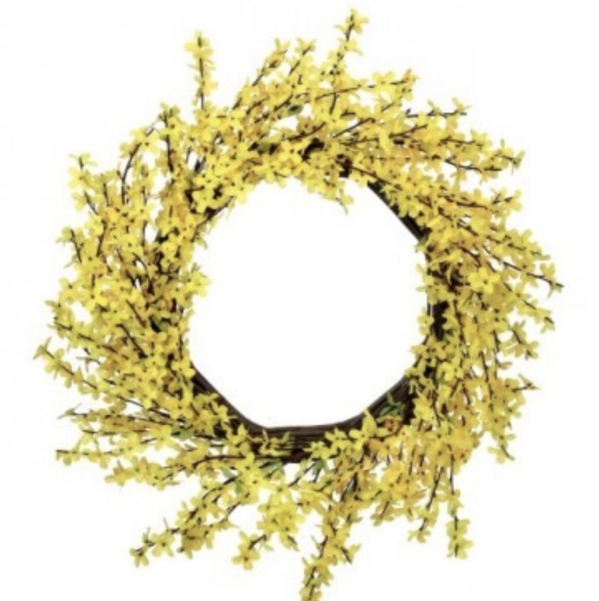 Wild Forsythia Wreath 22"