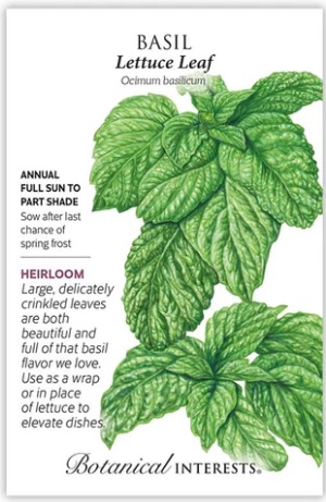 Heirloom Lettuce Leaf Basil Seeds