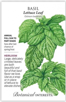 Heirloom Lettuce Leaf Basil Seeds