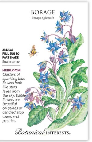 Heirloom Borage Seeds