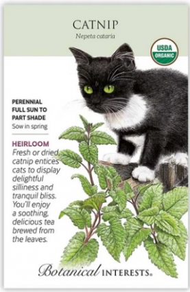 Organic Heirloom Catnip Seeds