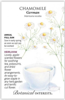 Heirloom German Chamomile Seeds