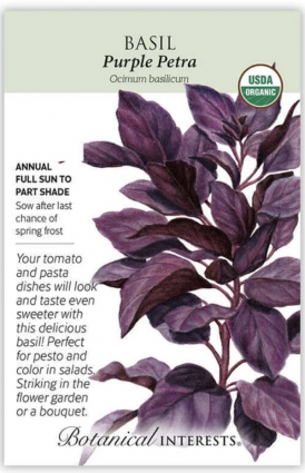 Organic Purple Petra Basil Seeds