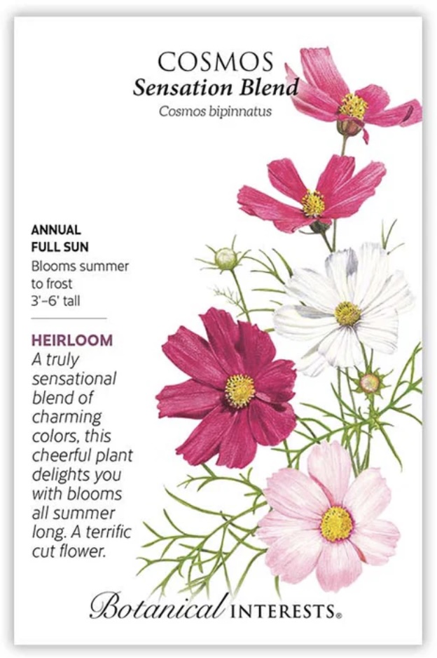 Sensation Blend Cosmos Seeds