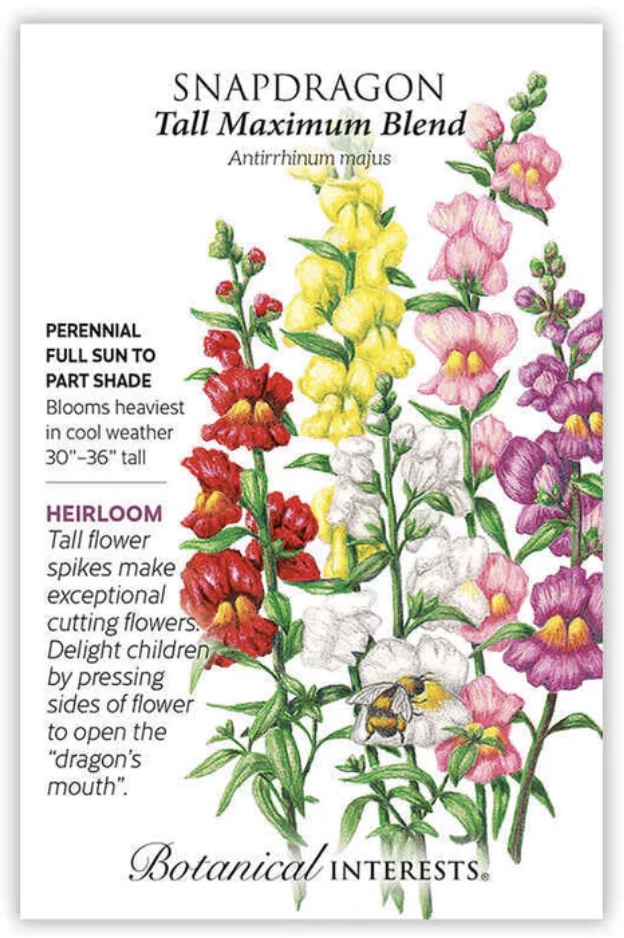 Tall Maximum Blend Snapdragon Seeds