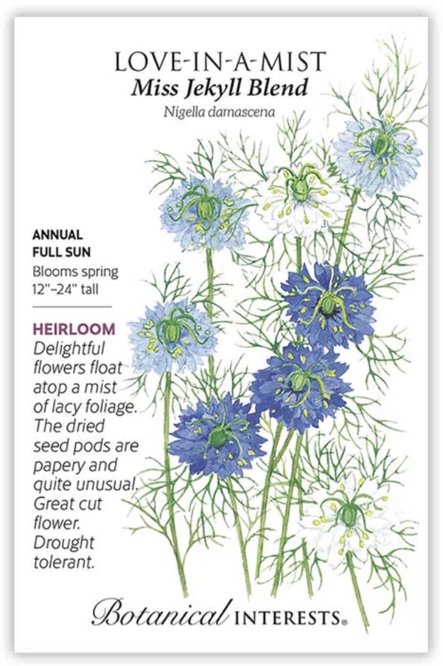 Miss Jekyll Blend Love-In-A-Mist Seeds