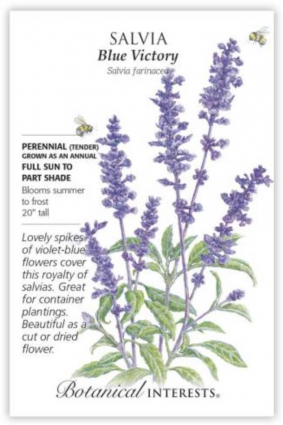 Blue Victory Salvia Seeds