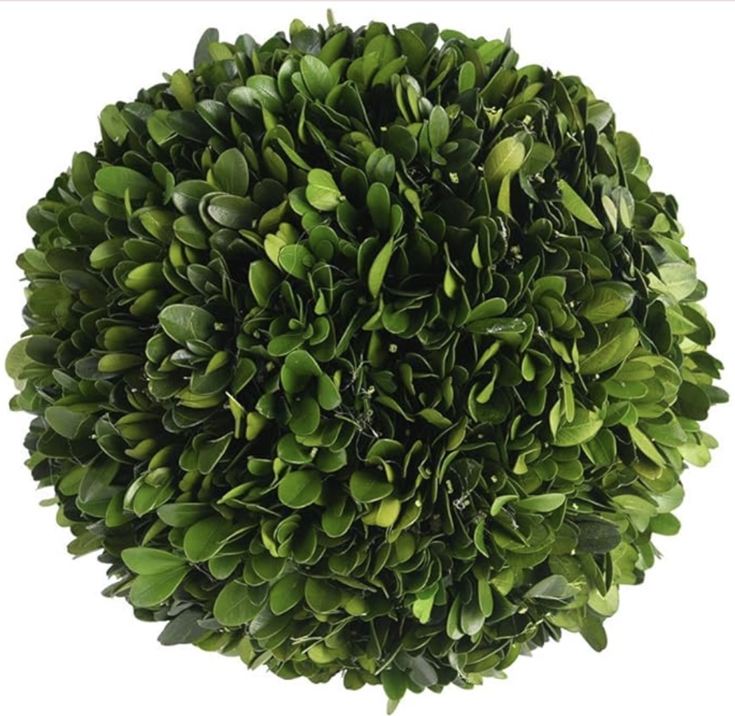 Boxwood Ball 10"