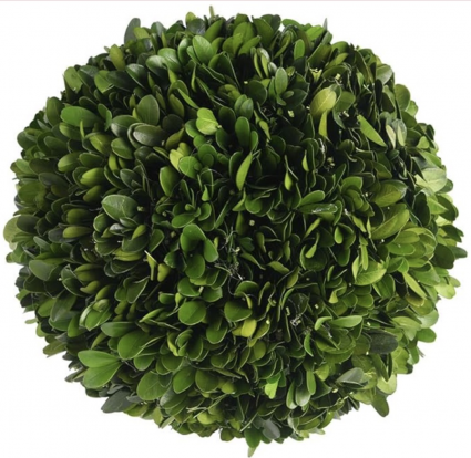 Boxwood Ball 10"