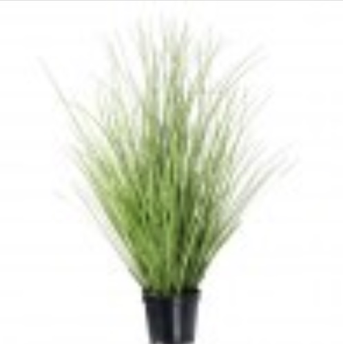 Potted Green Herb Grass 15"