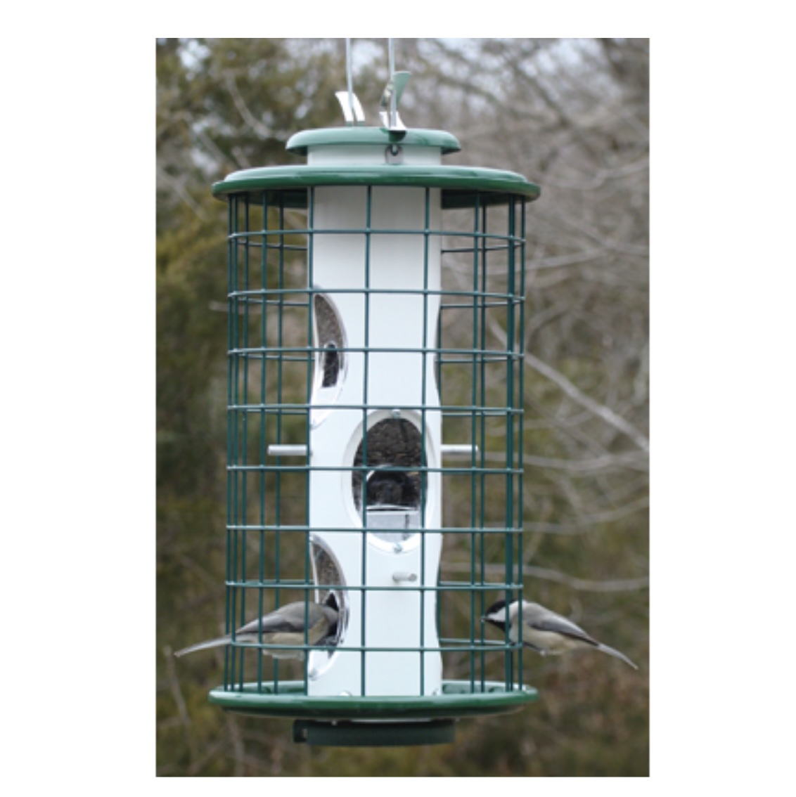 Heavy Duty Mixed Seed Feeder 8" Cage