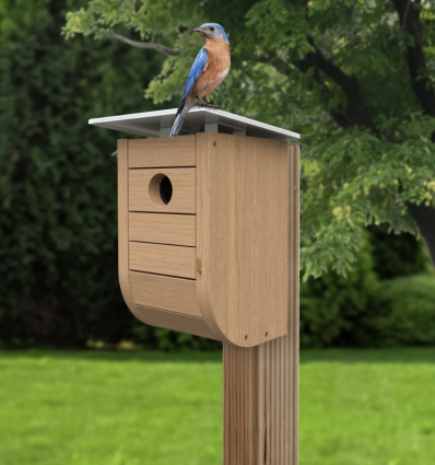 Nordic Habitat Modern Bluebird House with teakwood finish