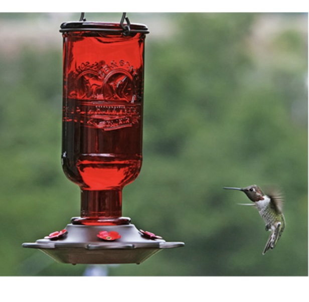  Elixir Hummingbird Bird Feeder