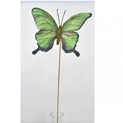 Green Butterfly Spray