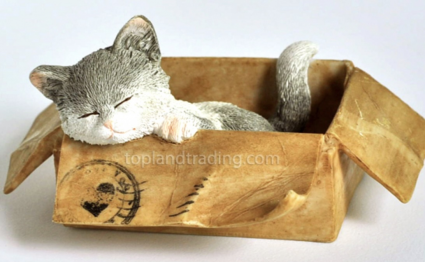 Lovely Messenger Kitten
