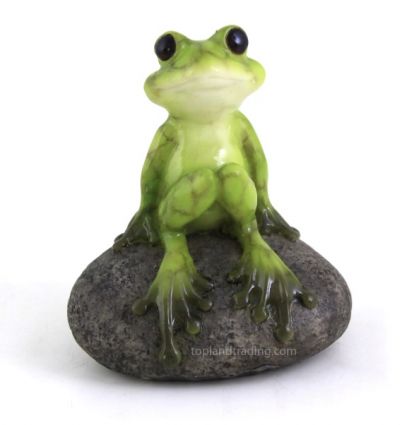 Cute Frog on Stone