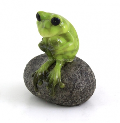 Cute Frog on Stone