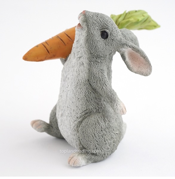 Rabbit Holding Carrot