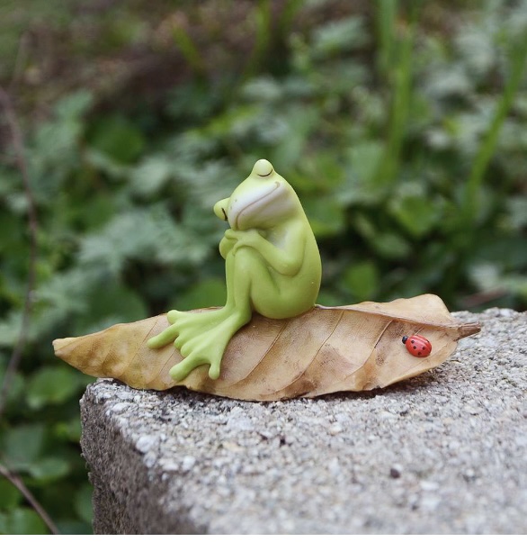 Frog Napping on Leaf with Ladybug