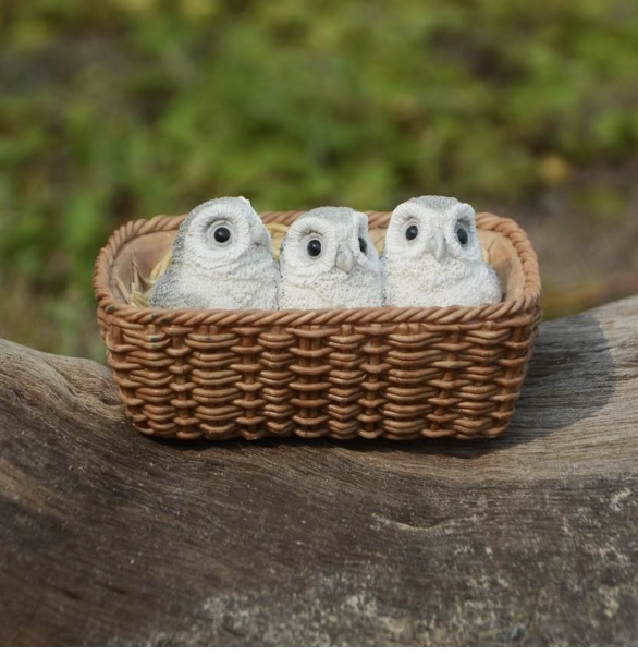 Fairy Garden Baby Owls in Basket