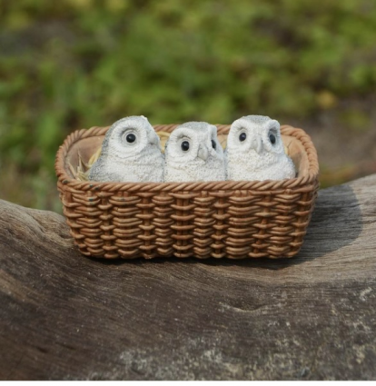 Baby Owls in Basket