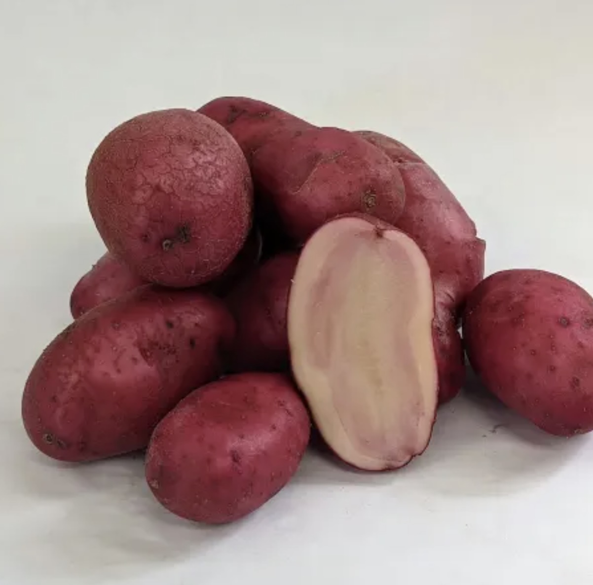 Red Fingerling Potato Bulbs  (7 Bulbs)