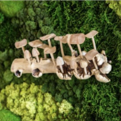 Parasite Oyster Mushrooms Wall Decor