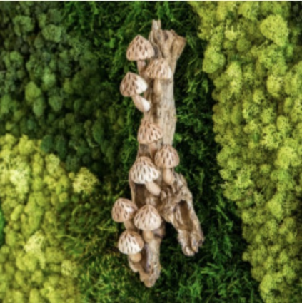 Parasite Forest Mushrooms Wall Decor