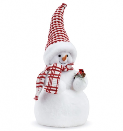 Snowman Holding Cardinal