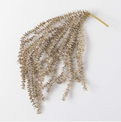 Lycopodium Gold Bush  28"