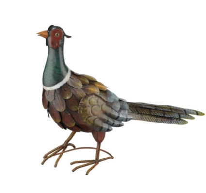 Pheasant Heads Up