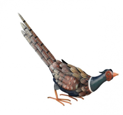 Heads Down Pheasant