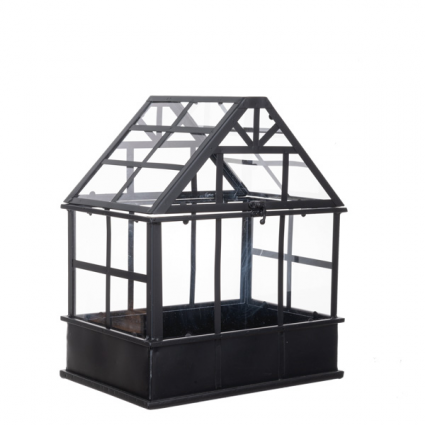 TERRARIUM, 13"W X 9.25"D BLACK